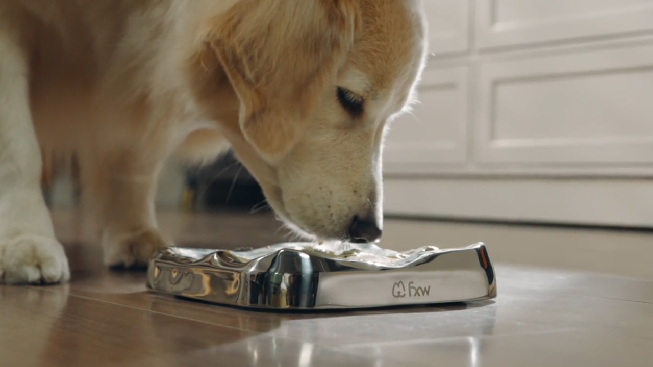 IntoFlow Lick Pad by FXW Company