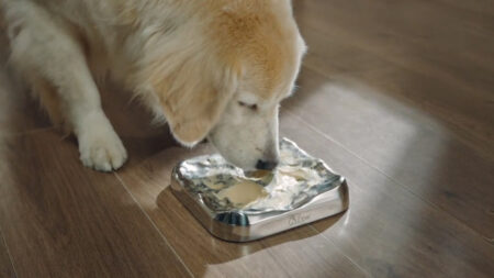 Innovative Steel Pad Turns Your Dog’s Licking Into Relaxing Ritual IntoFlow Lick Pad_4