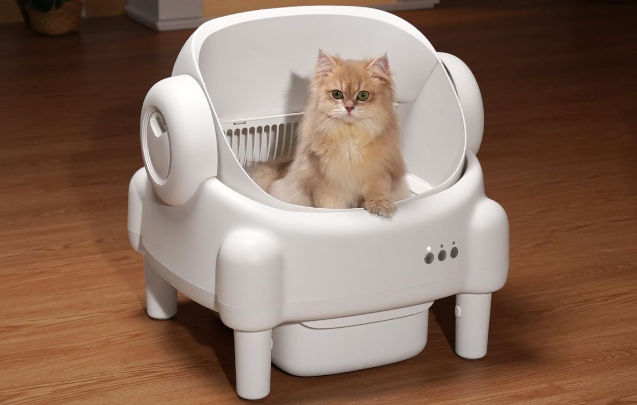 PARUUNTYS Self Cleaning Litter Box