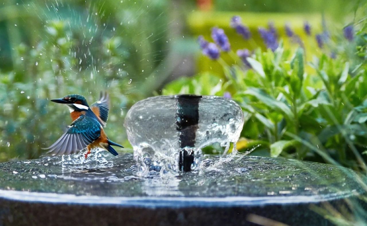 Poposoap Wildlife-Friendly Bird Bath Kit_1