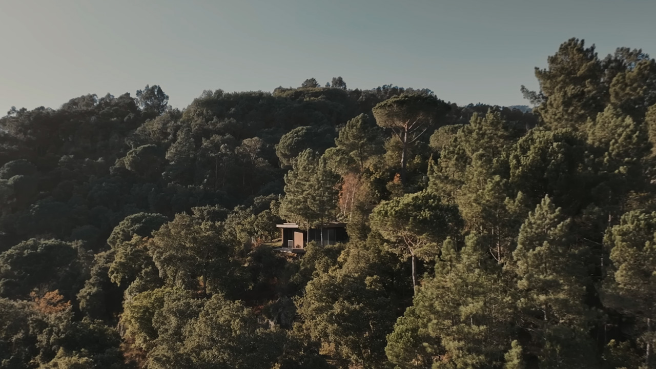 The wooden house quietly nestles itself in forested landscape