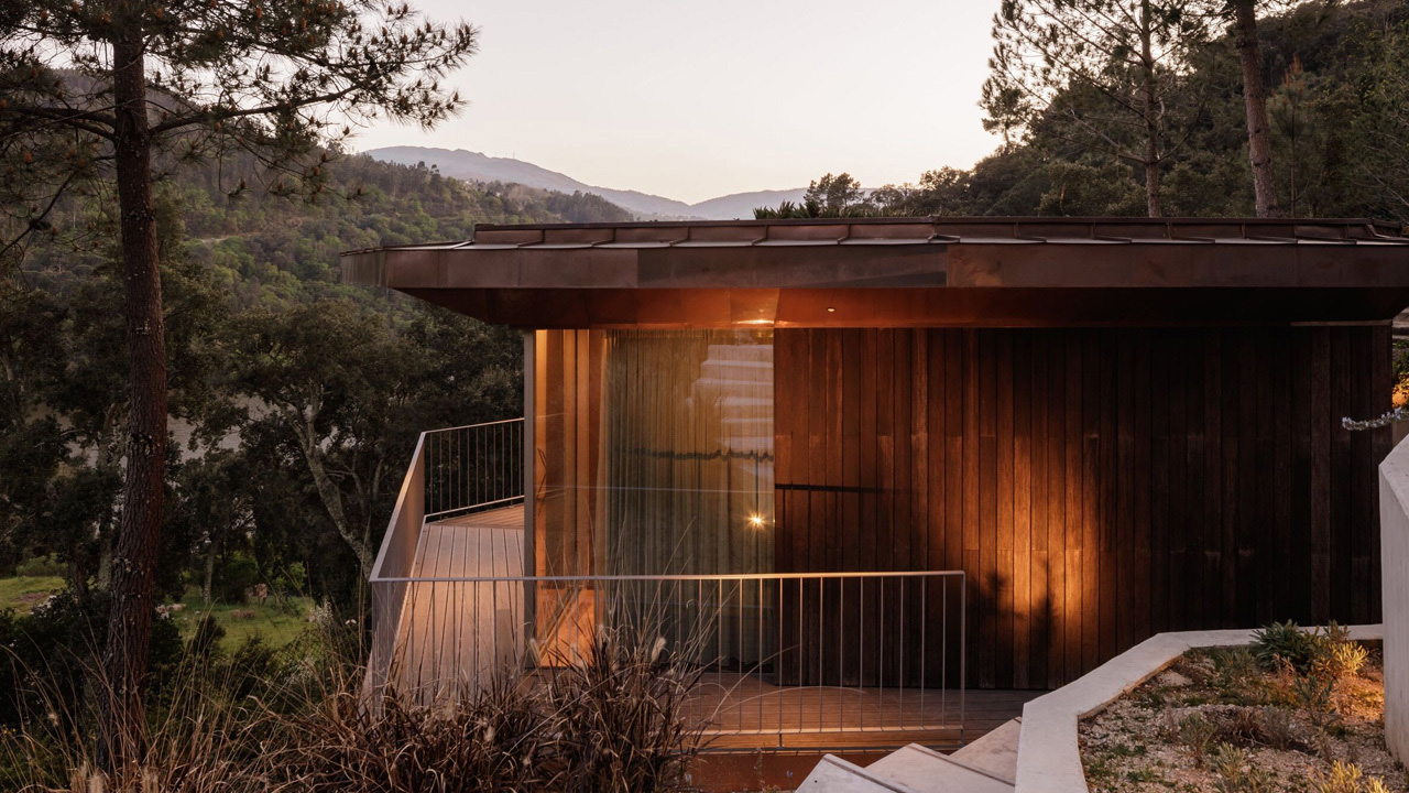 The cabin-like house merges with the natural terrain