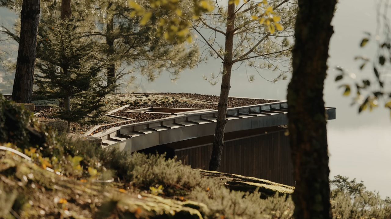 The green roof sustains biodiversity and provides ample space for existing trees to thrive