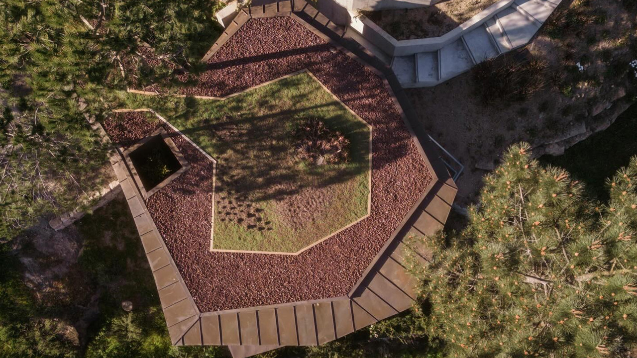 The living roof of the Douro wood house pre-planted with native plants and cutout voids made to protect existing trees