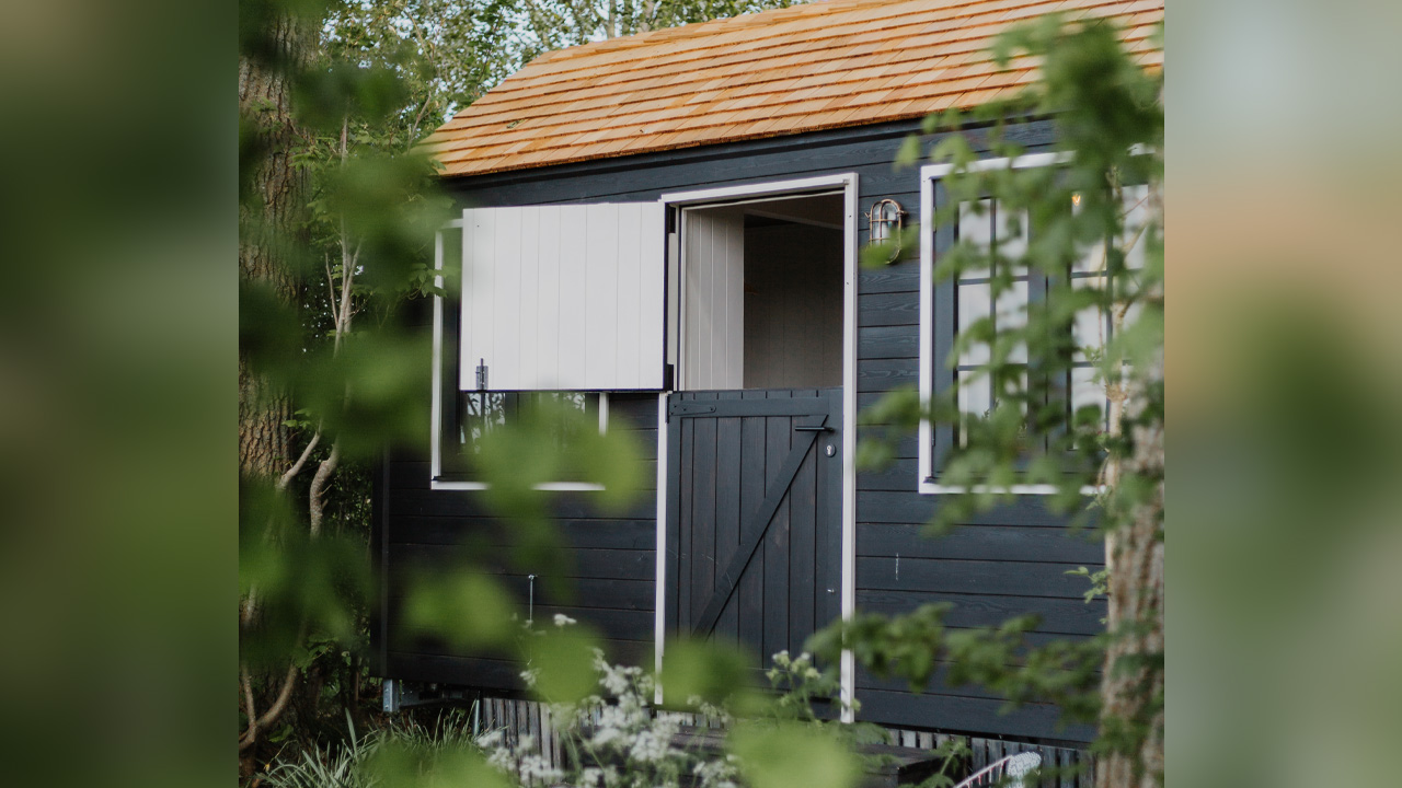 The Tiny Poppy House enveloped by nature