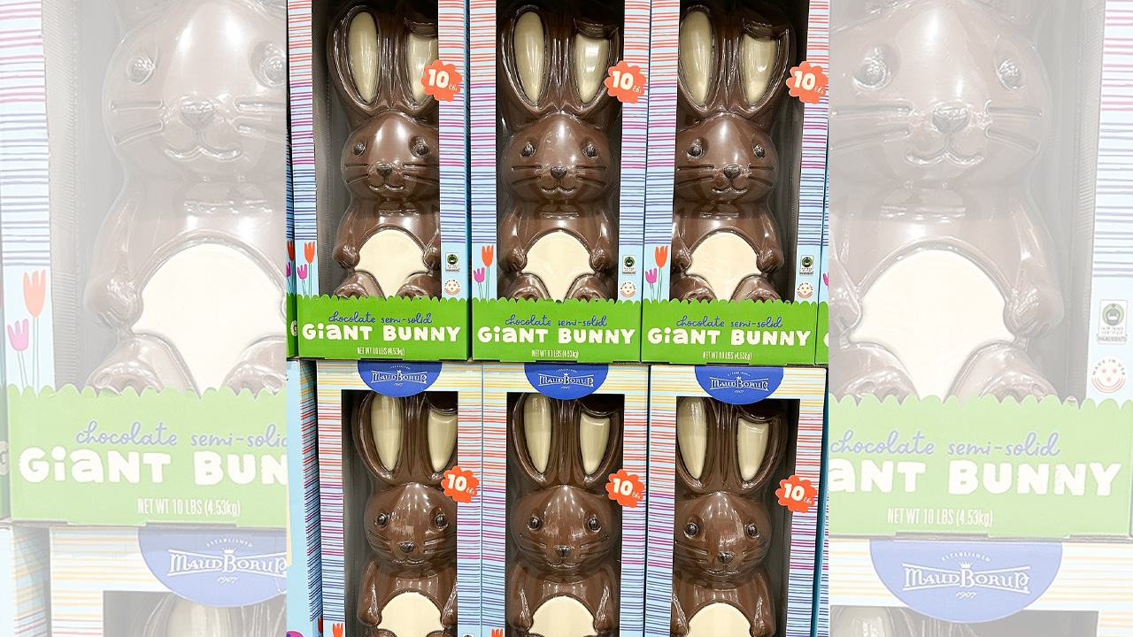 A Larger than life Easter Chocolate Bunny at Costco