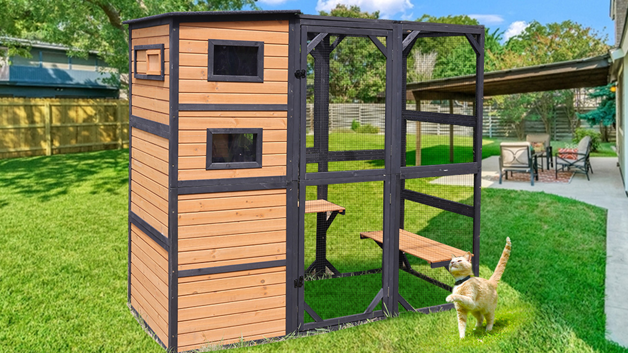 Aivituvin Large Cat Catio Offers an Interactive and Playful Space for Felines