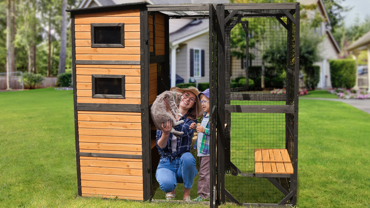 Aivituvin Large Cat Catio Provides Safe Playing Zone for Kitties