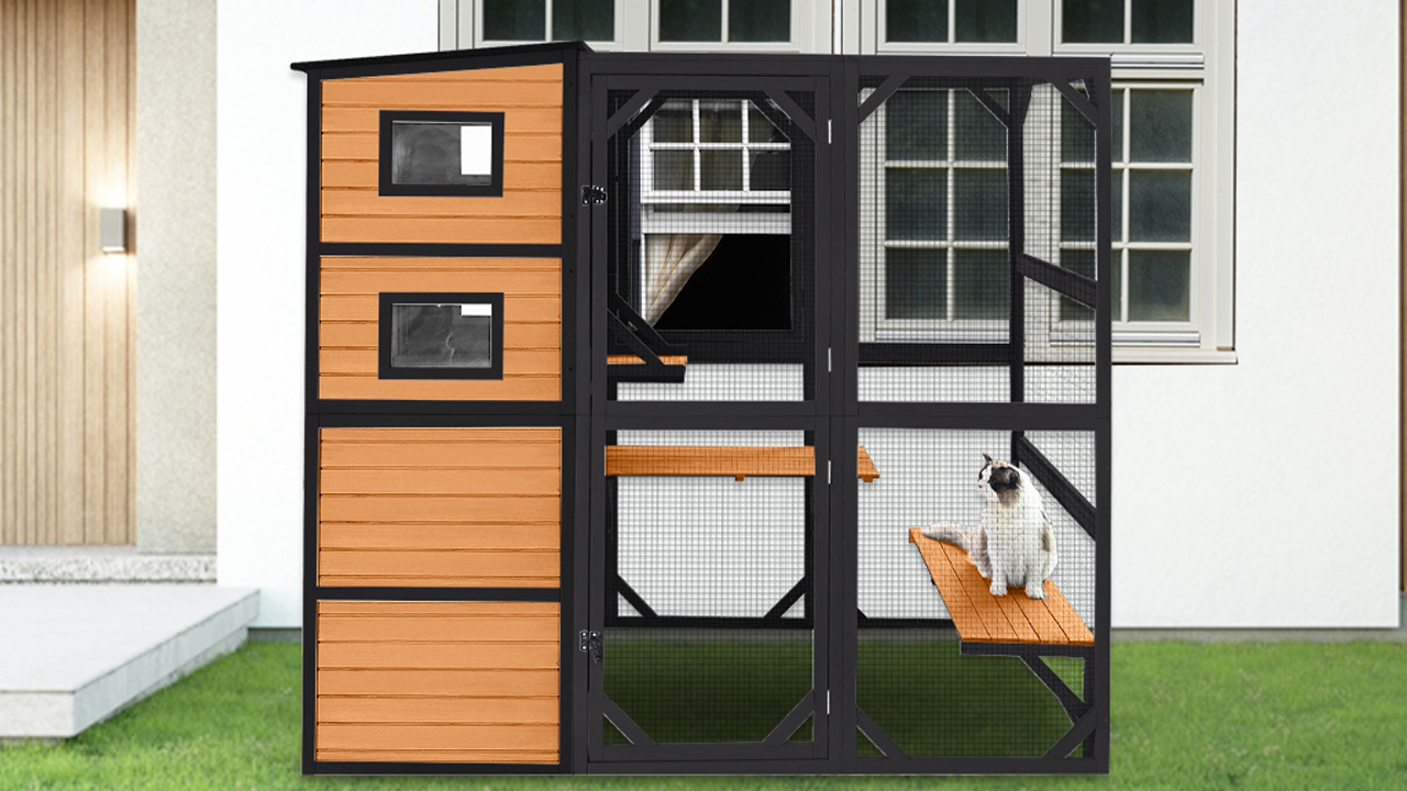 Aivituvin Large Cat Catio_1