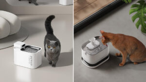 10 Best Cat Water Fountains 2026: User-Approved Picks for Proper Hydration Best cat water fountains to buy on Amazon