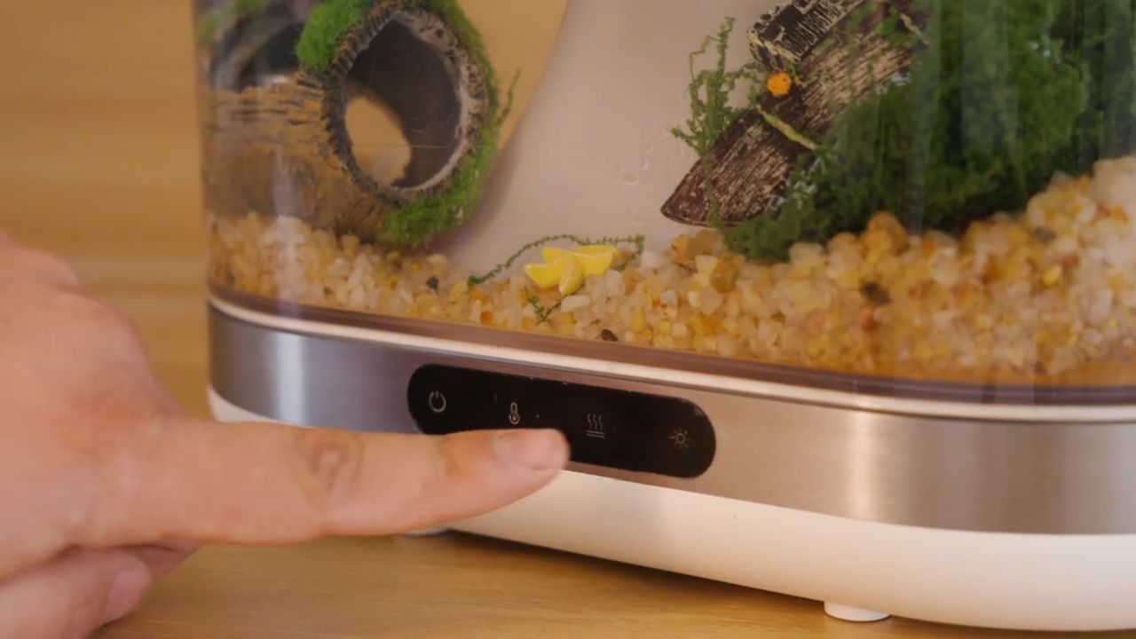 Bioloopa Grows Plants With Mist, Doubles as Tabletop Aquarium