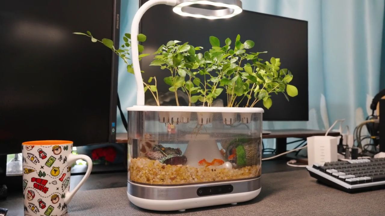 Bioloopa Grows Plants With Mist, Doubles as Tabletop Aquarium