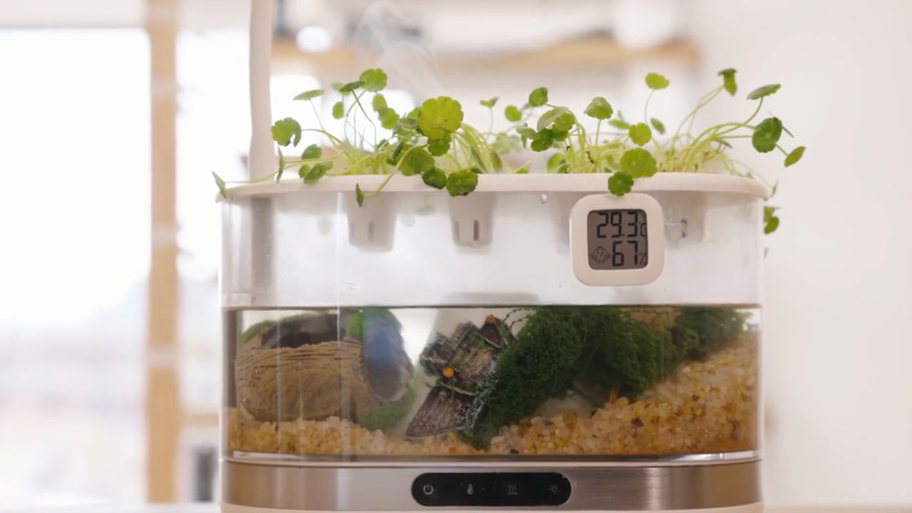 Bioloopa Grows Plants With Mist, Doubles as Tabletop Aquarium