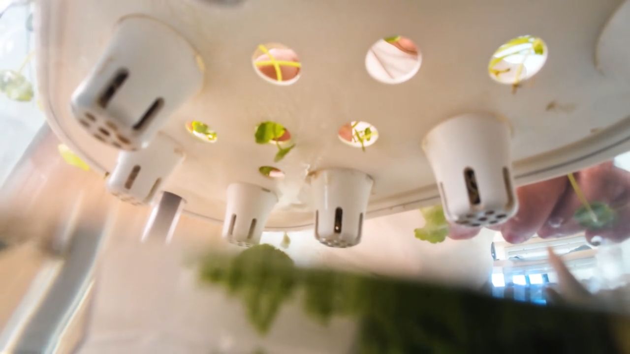 Bioloopa Grows Plants With Mist, Doubles as Tabletop Aquarium
