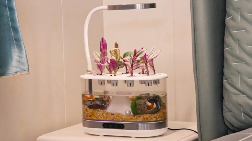Bioloopa Grows Plants With Mist, Doubles as Tabletop Aquarium