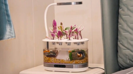 Bioloopa Grows Plants With Mist, Doubles as Tabletop Aquarium
