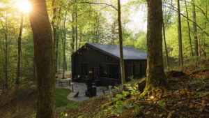 Birch Falls Cabin in New York Flaunts Immersive Spa Room With 18 ft. Indoor Waterfall