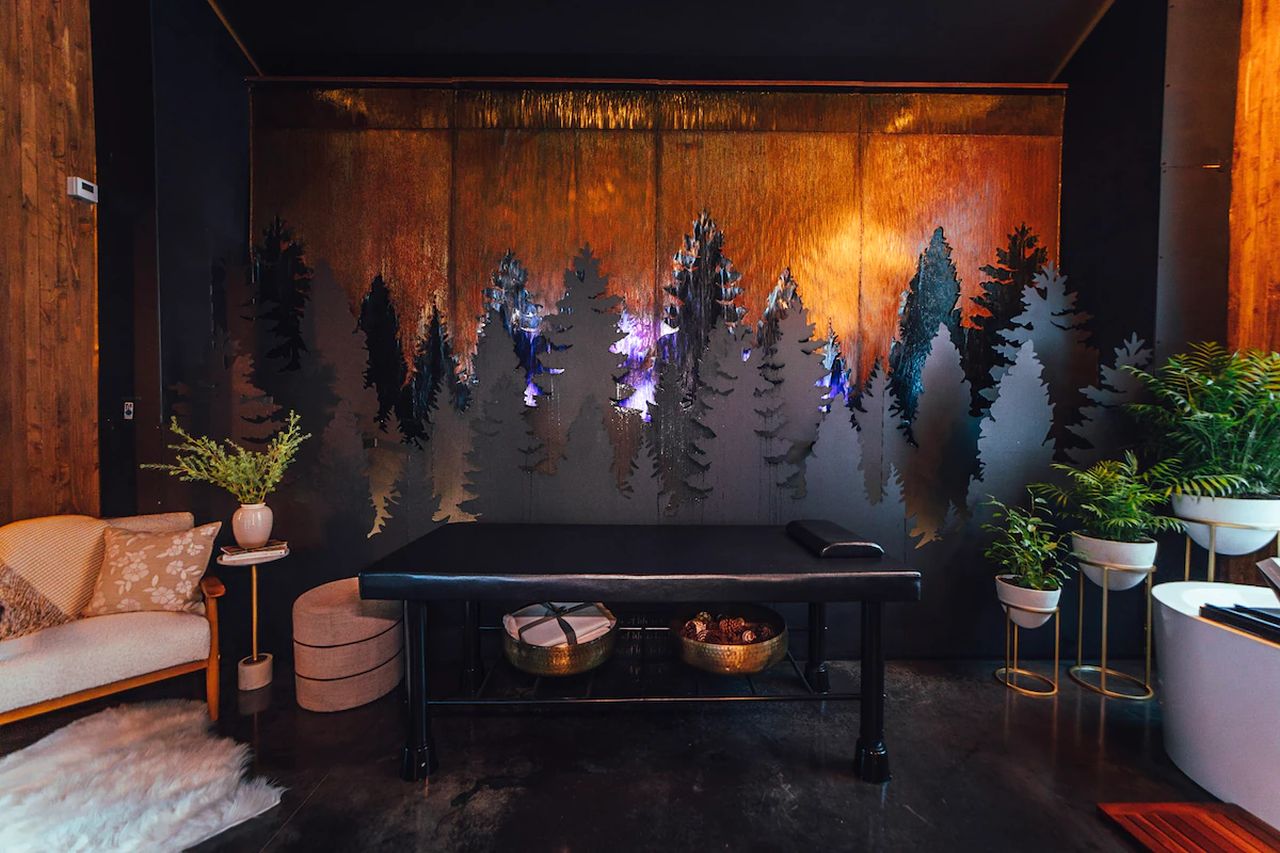 Birch Falls Spa Cabin in Remsen_Spa Room