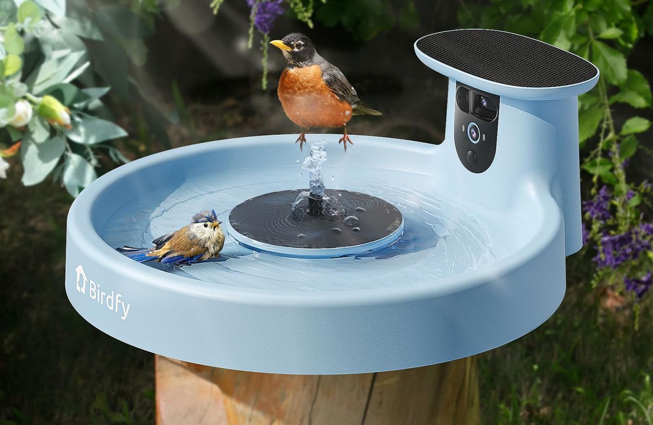 Birdfy Bird Bath Pro