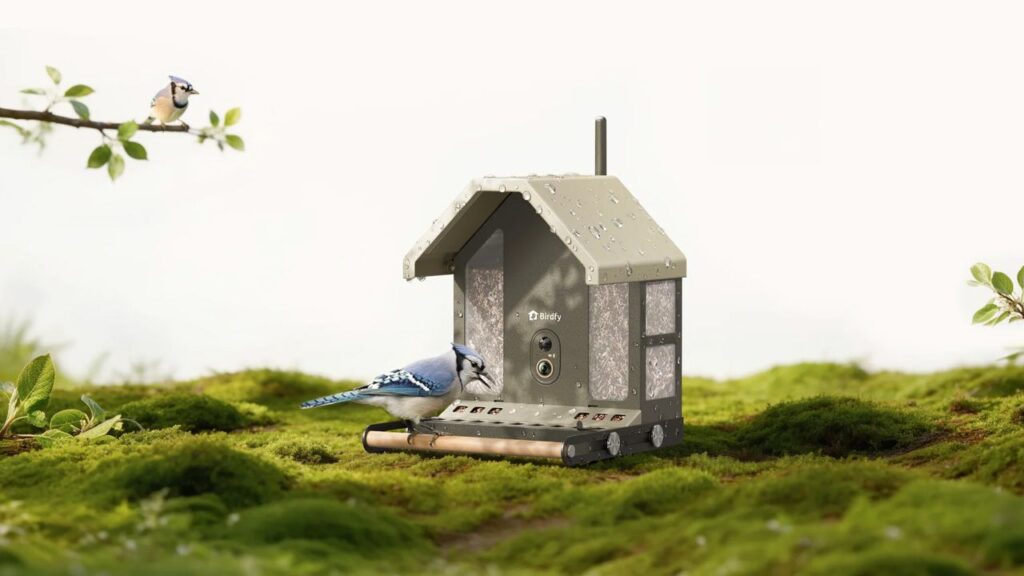 Birdfy Feeder Metal 2 4K