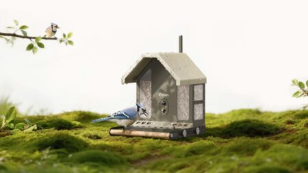 Birdfy Feeder Metal 2 4K