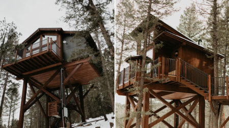 Discover Starlit summit and Copper Dreams Within First Luxury Treehouse Hotel in Colorado