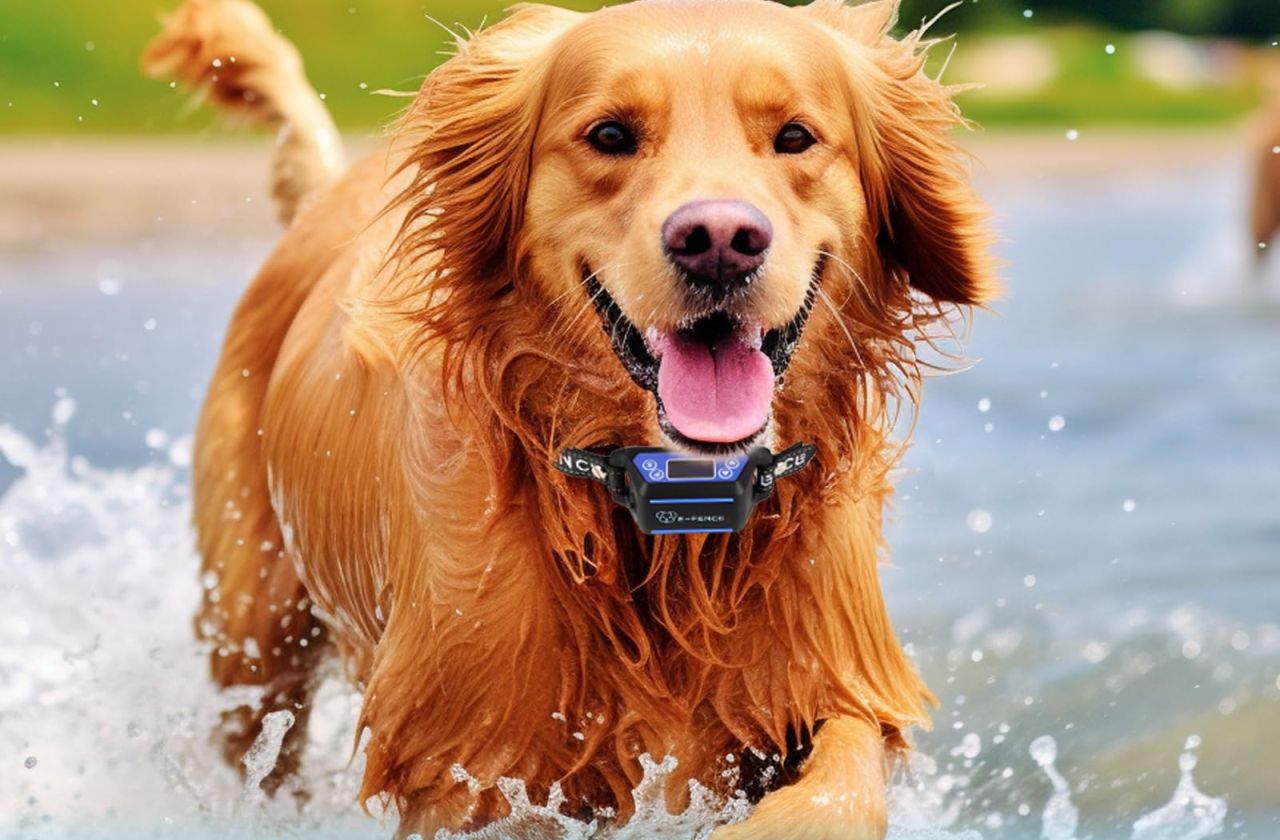  E-Fence Wireless Dog Collar Fence System