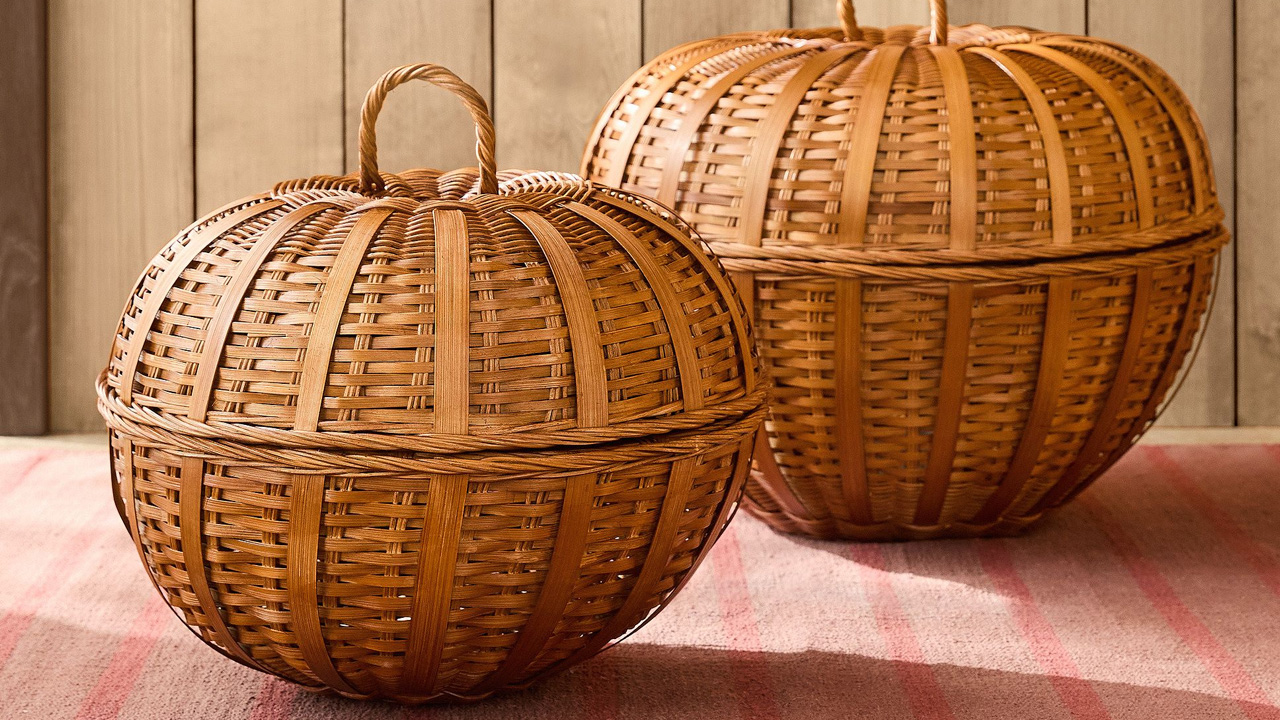 Emma Chamberlain collection apple basket