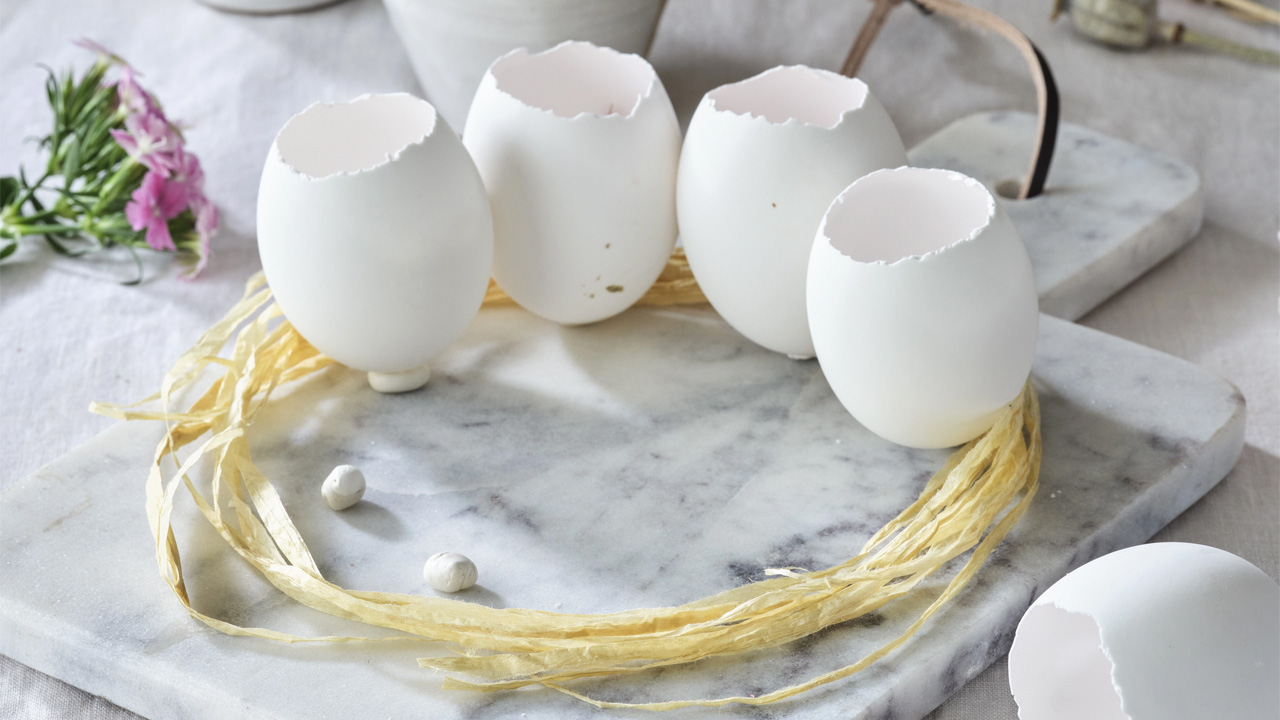 The empty eggshells look like mini flower vases