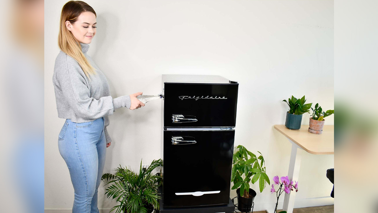 Frigidaire Dual Door Retro Mini Fridge