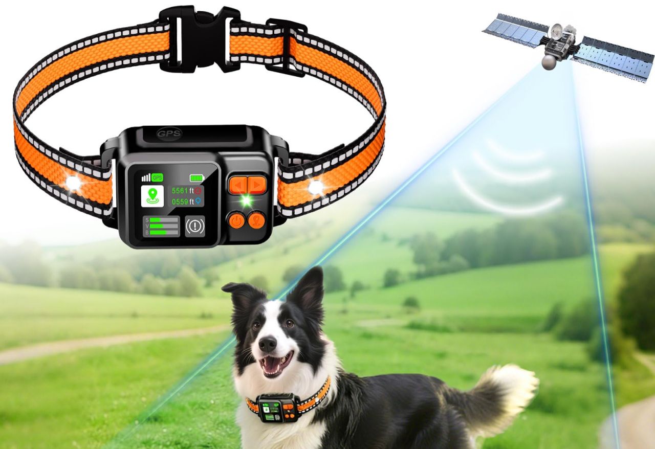 GPS Wireless Dog Fence System