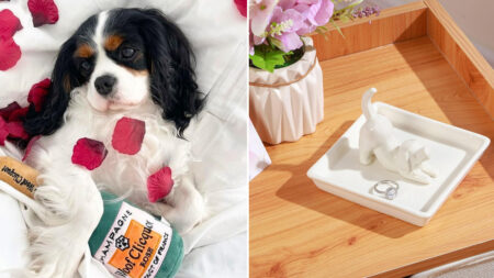 Gifts for dog moms