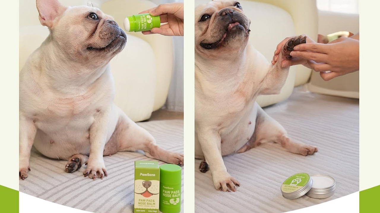 Gifts for dog moms