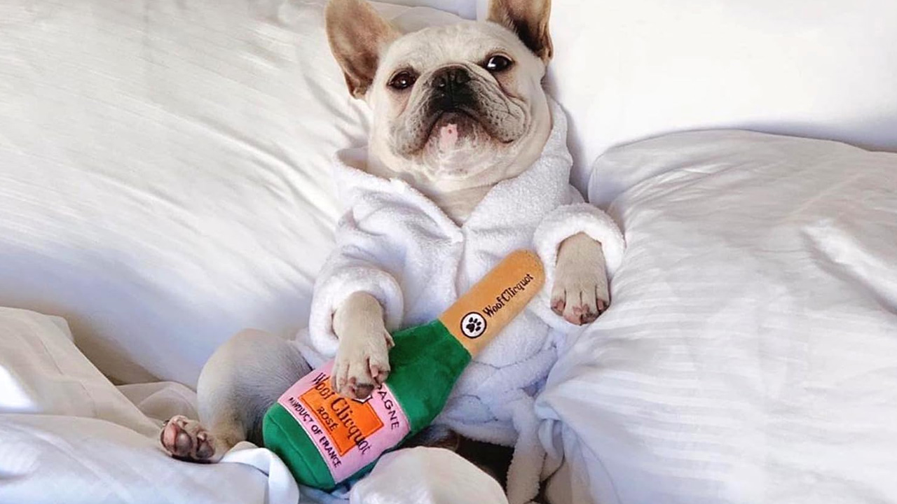 Gifts for dog moms
