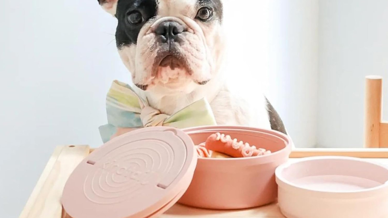 Gifts for dog moms