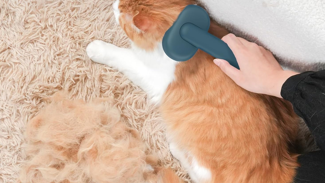 Gifts for dog moms