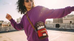 Joobie AI-Powered Companion Pet Robot can be Taken Anywhere