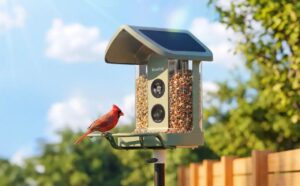 Kiwibit Smart Bird Feeder for Backyard Birdwatching