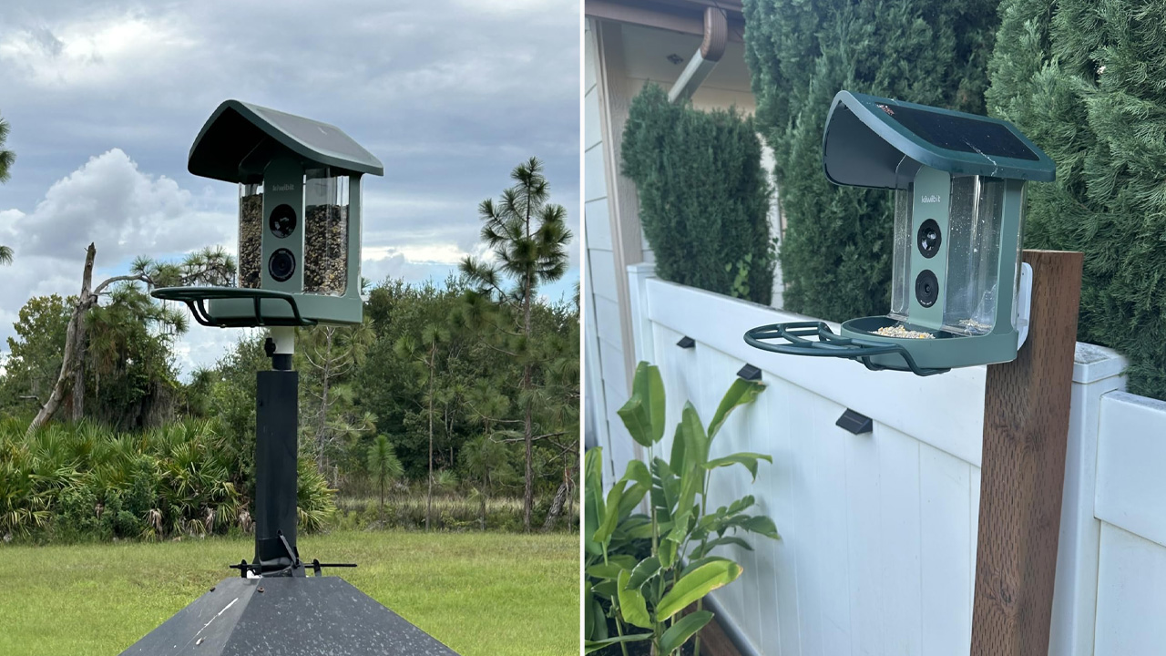Kiwibit Smart Bird Feeder_2