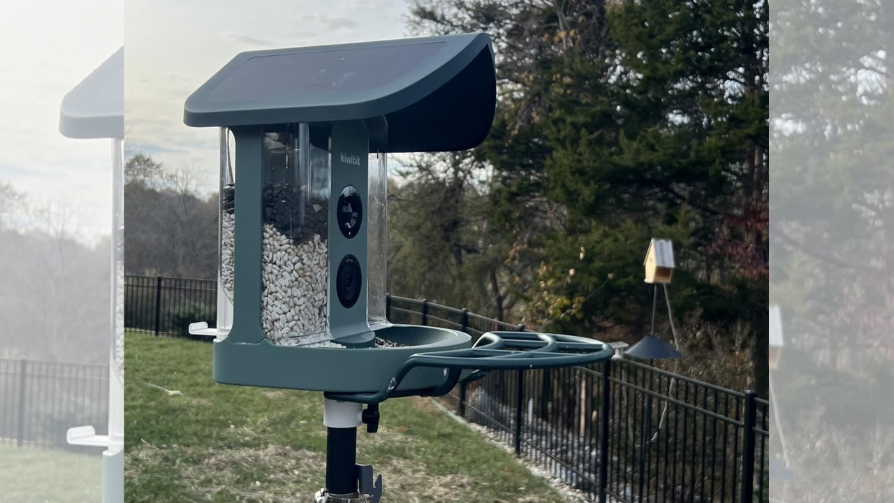 Kiwibit-Smart-Bird-Feeder_3