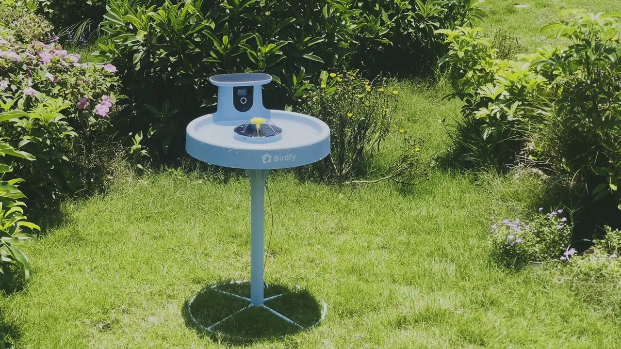 Mother's Day Self-Gifts - Birdfy Smart Bird Bath With Camera