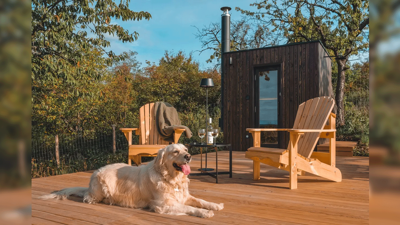 NestOff Prefab Tiny House cabin - sauna