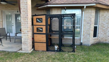 Steal Deal: Grab 4-Tier Catio at 39% off on Amazon, Perfect Hangout for Your Felines This Spring Aivituvin Large Cat Catio - interactive outdoor space for cats