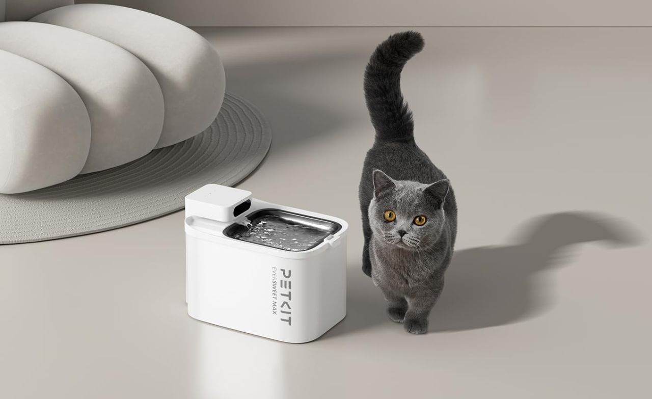 PETKIT EVERSWEET MAX Cordless Cat Water Fountain