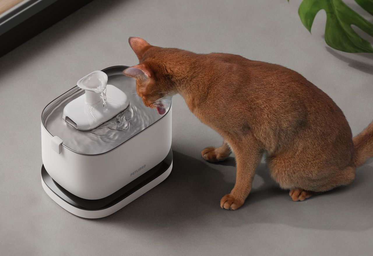 PETLIBRO Cordless Cat Water Fountain