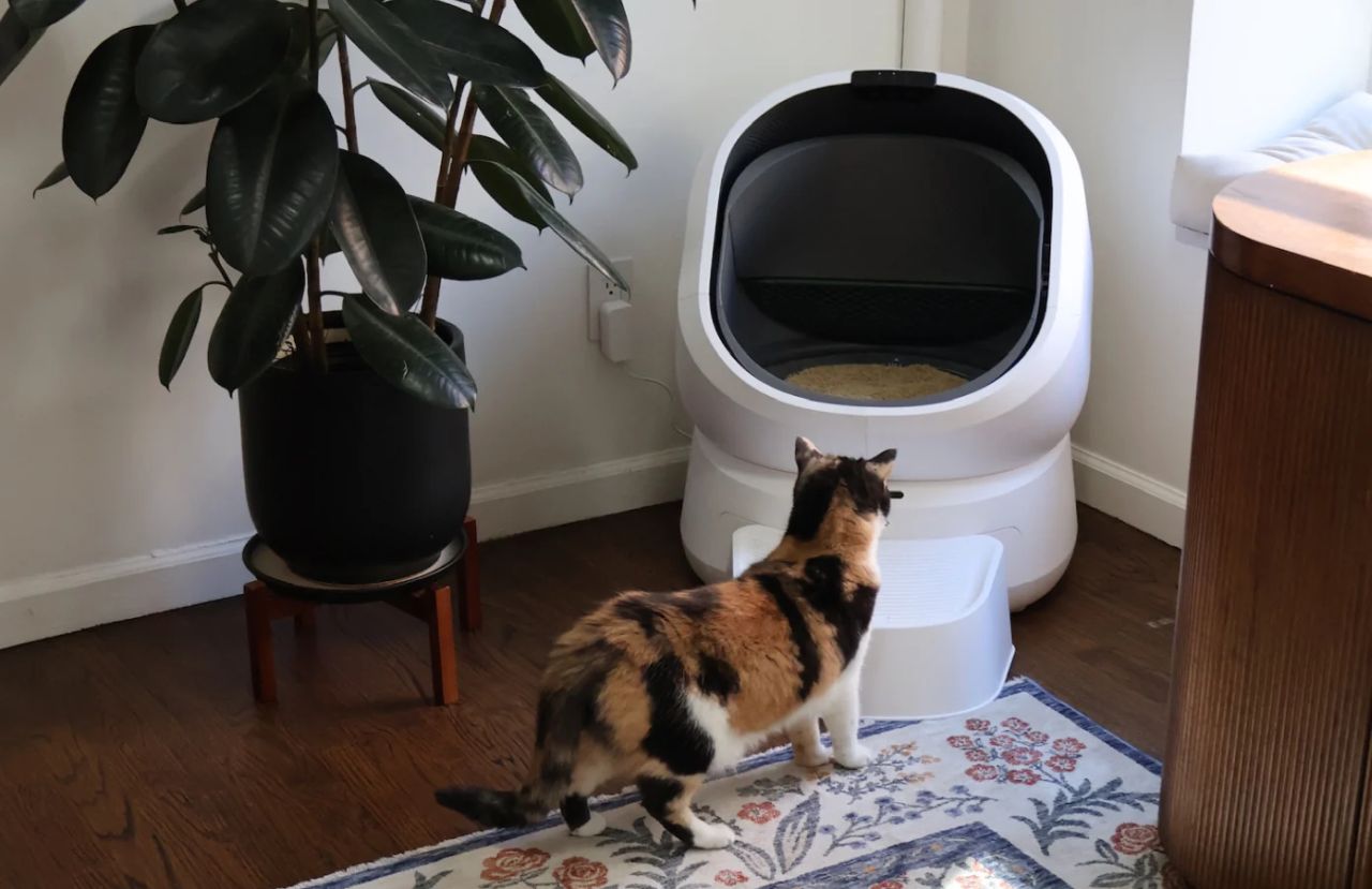 PETLIBRO Luma Automatic Cat Litter Box_5