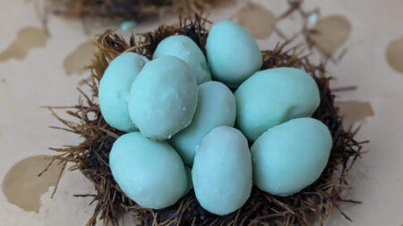 Peanut Butter Robin's Easter Eggs (1)