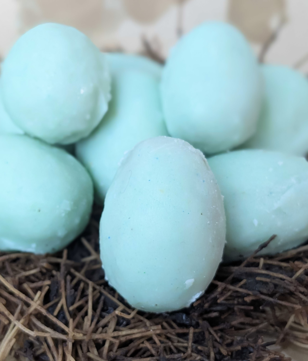 Peanut Butter Robin's Easter Eggs (3)