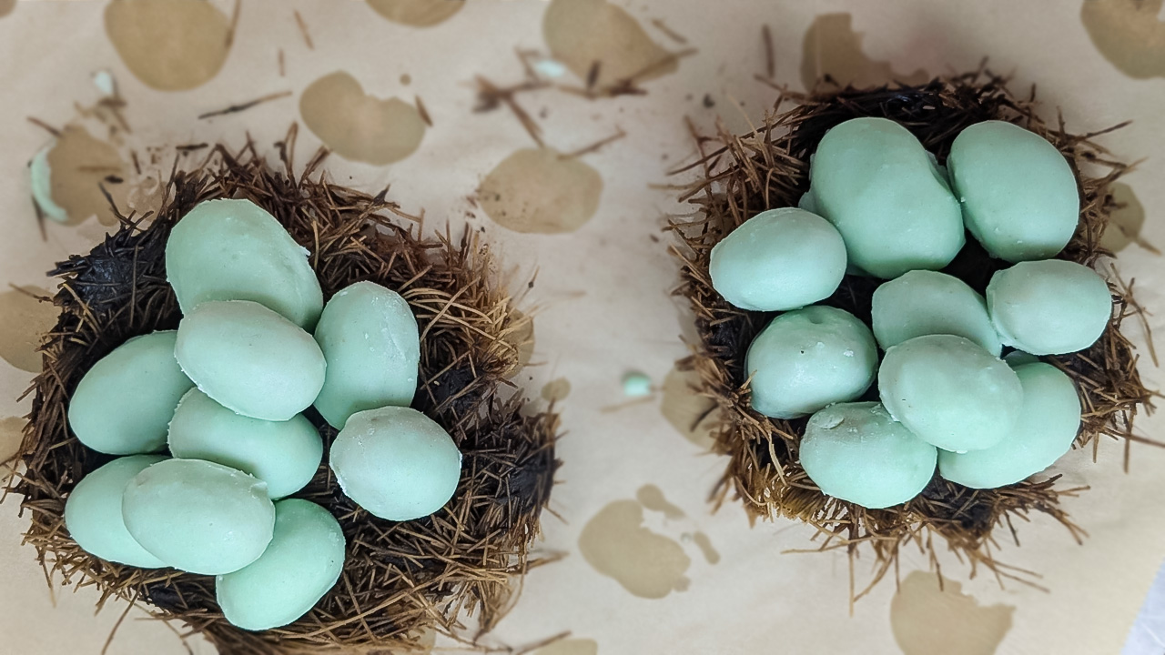 Peanut Butter Robin's Easter Eggs (5)