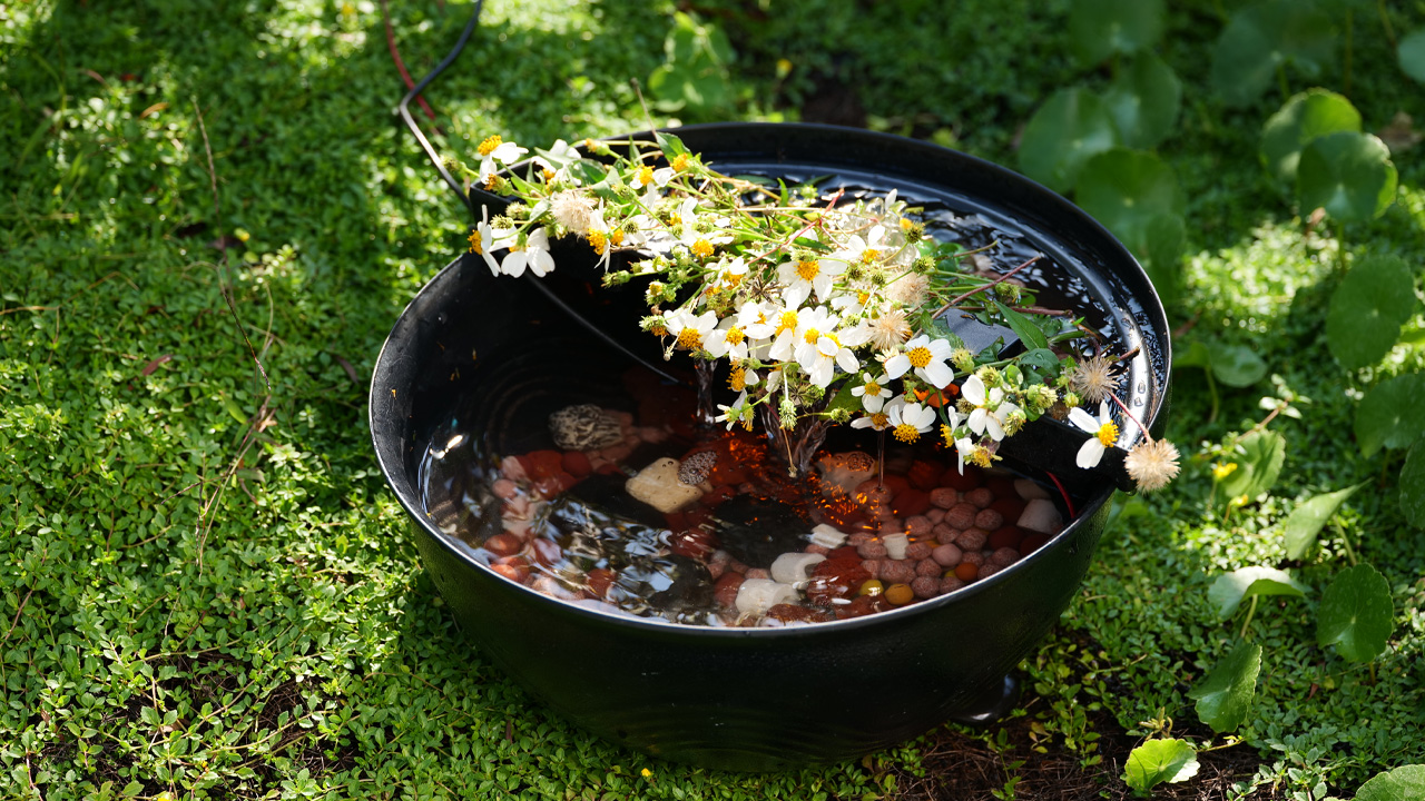Poposoap Mini Water Garden Pond Kit